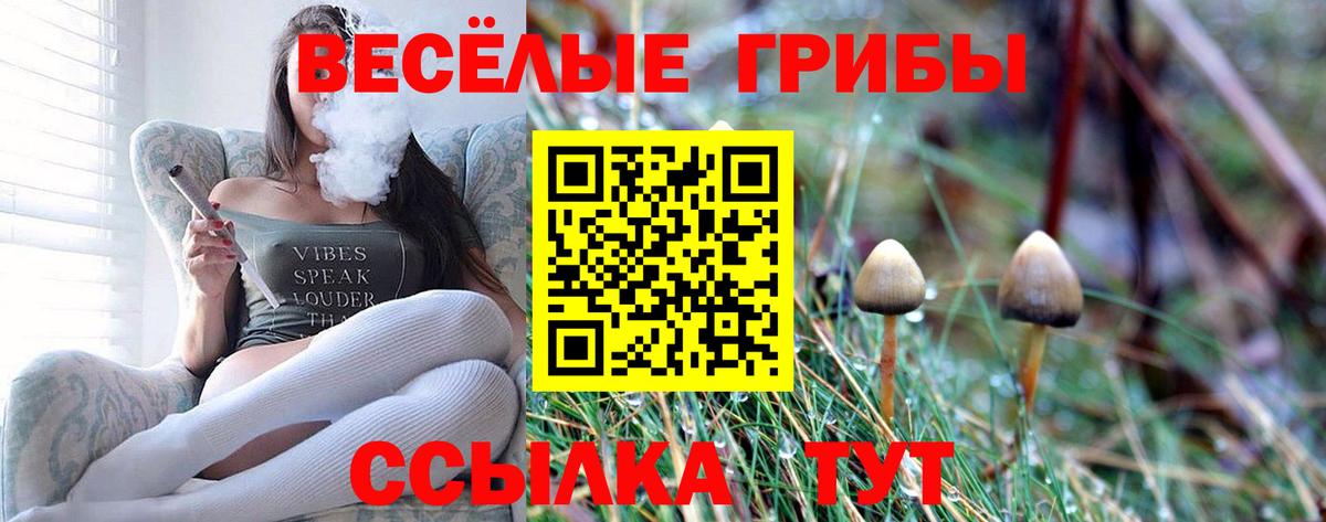Галлюциногенные грибы ЛСД  Вход с VPN  Зеленогорск 